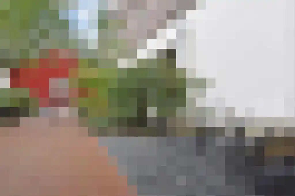 Ezelsveldlaan 105 Delft thumbnail 52