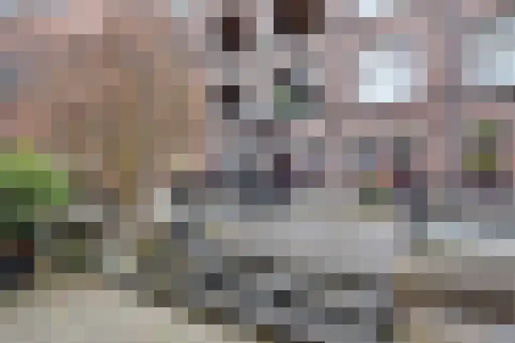 Ezelsveldlaan 105 Delft thumbnail 53
