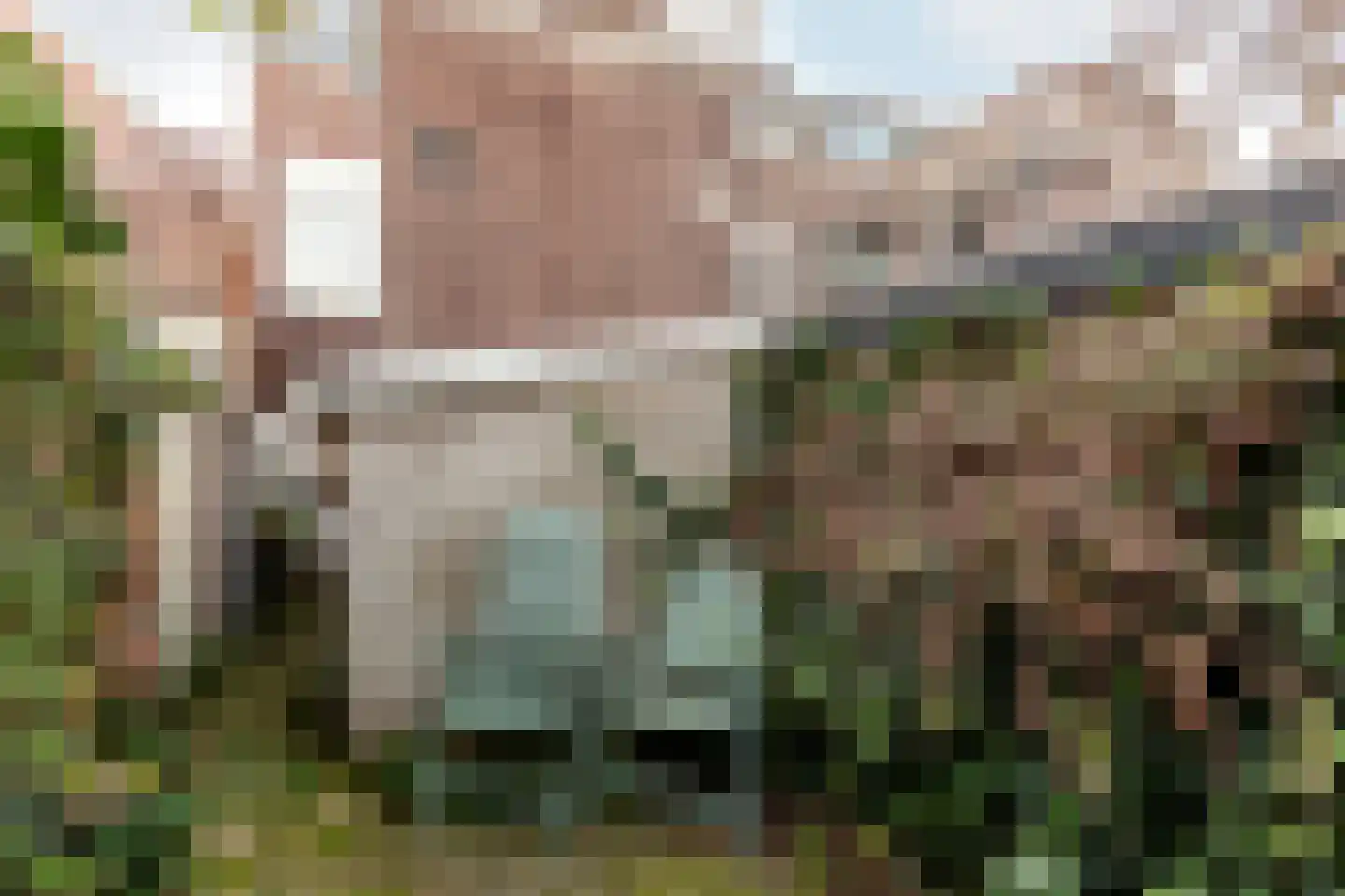Ezelsveldlaan 122 Delft thumbnail 22