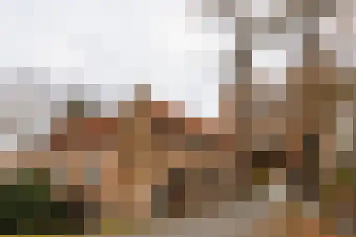 Ezelsveldlaan 122 Delft thumbnail 31