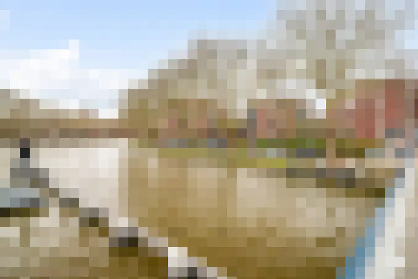 Ezelsveldlaan 141 Delft thumbnail 23
