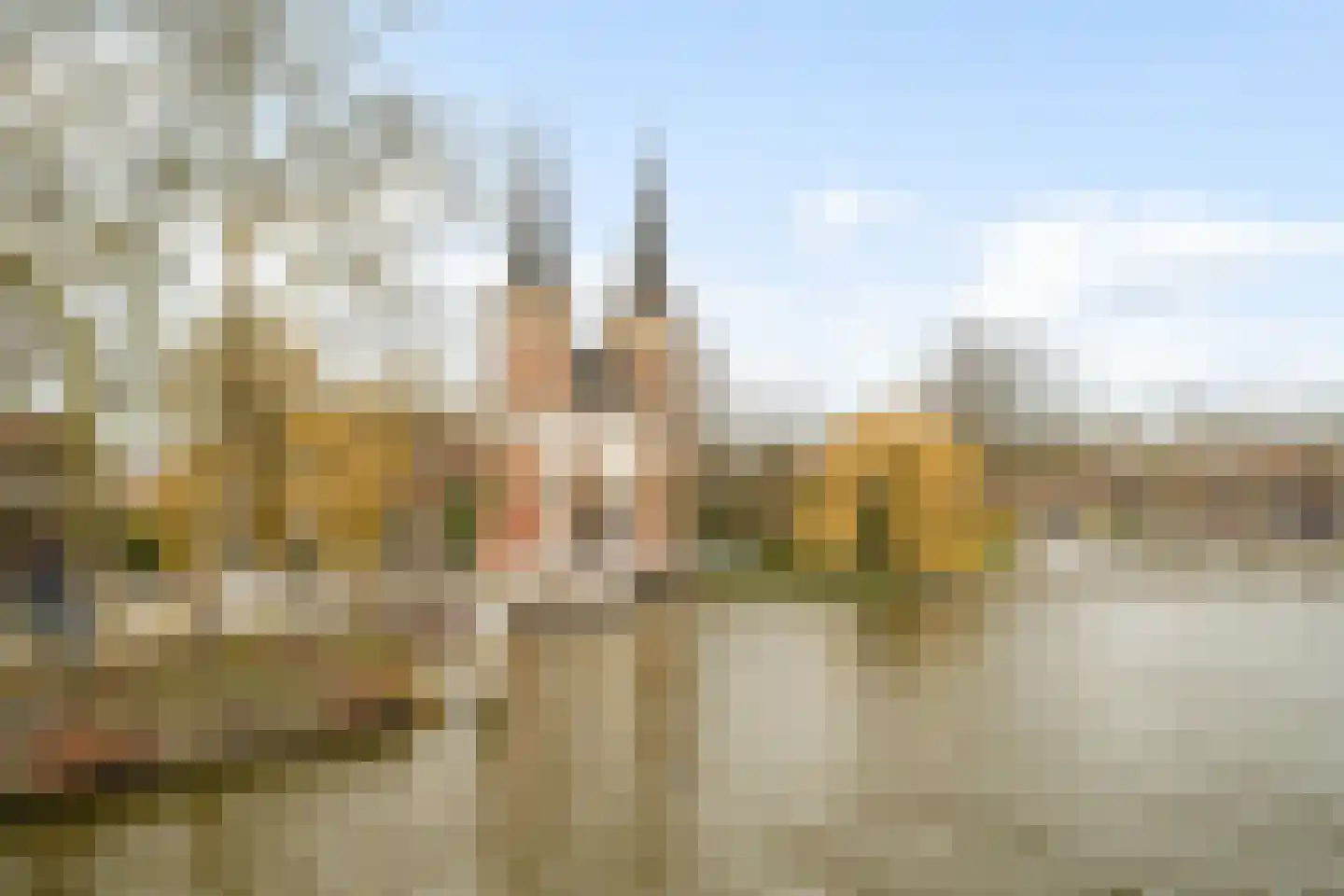 Ezelsveldlaan 141 Delft thumbnail 24