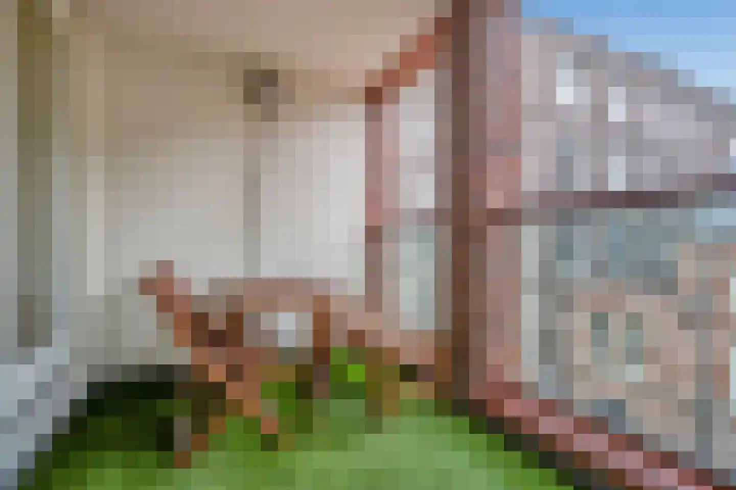Ezelsveldlaan 38 Delft thumbnail 6