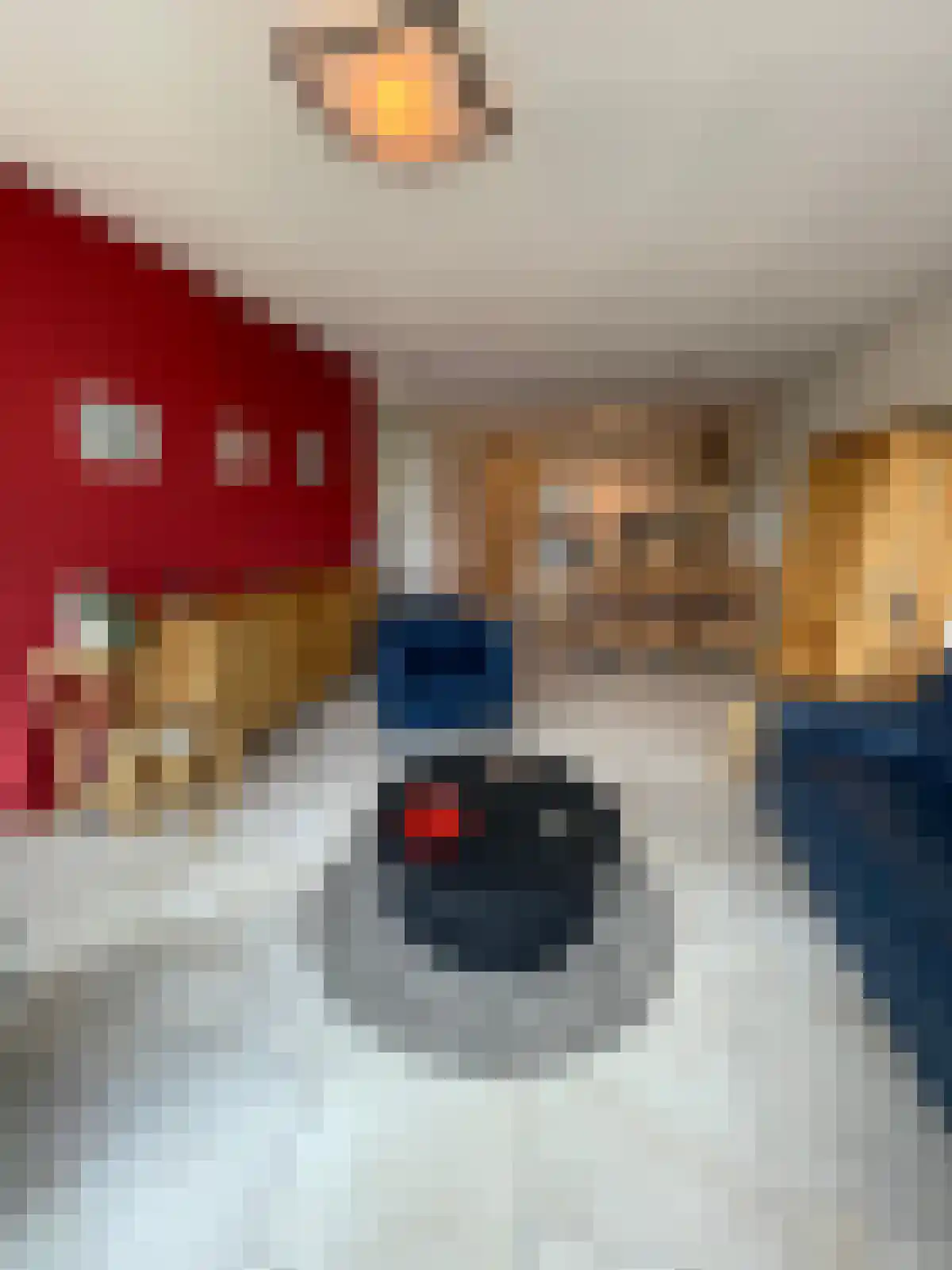Ezelsveldlaan 8 Delft thumbnail 5