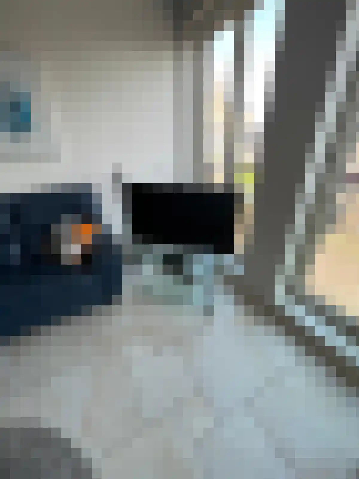 Ezelsveldlaan 8 Delft thumbnail 6