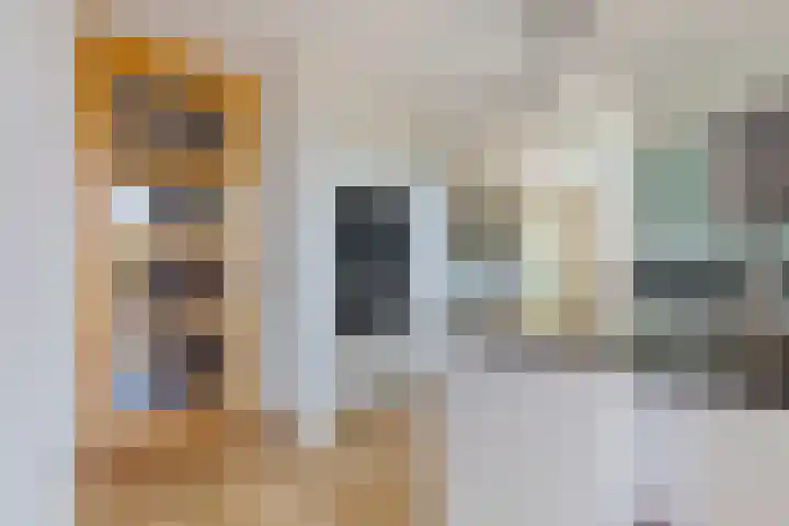 Ezelsveldlaan 88 Delft thumbnail 17
