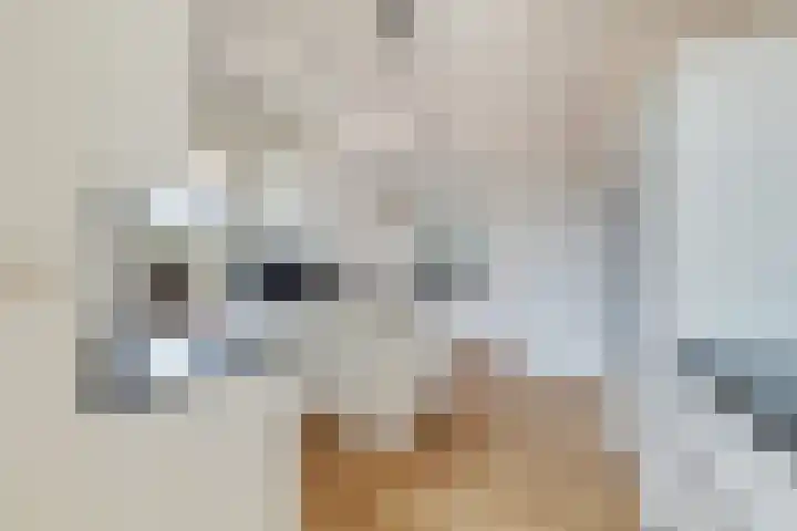 Ezelsveldlaan 88 Delft thumbnail 18