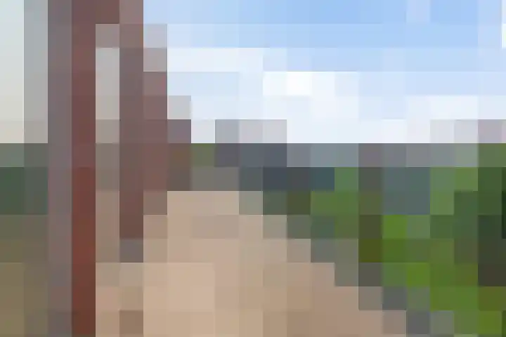 Ezelsveldlaan 88 Delft thumbnail 50
