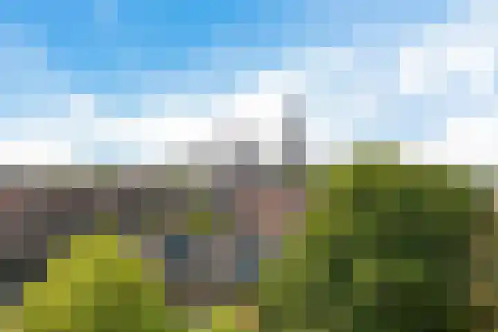 Ezelsveldlaan 88 Delft thumbnail 51