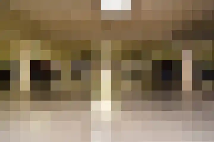 Ezelsveldlaan 88 Delft thumbnail 52