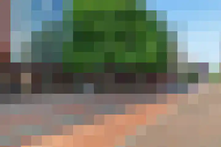 Ezelsveldlaan 88 Delft thumbnail 6