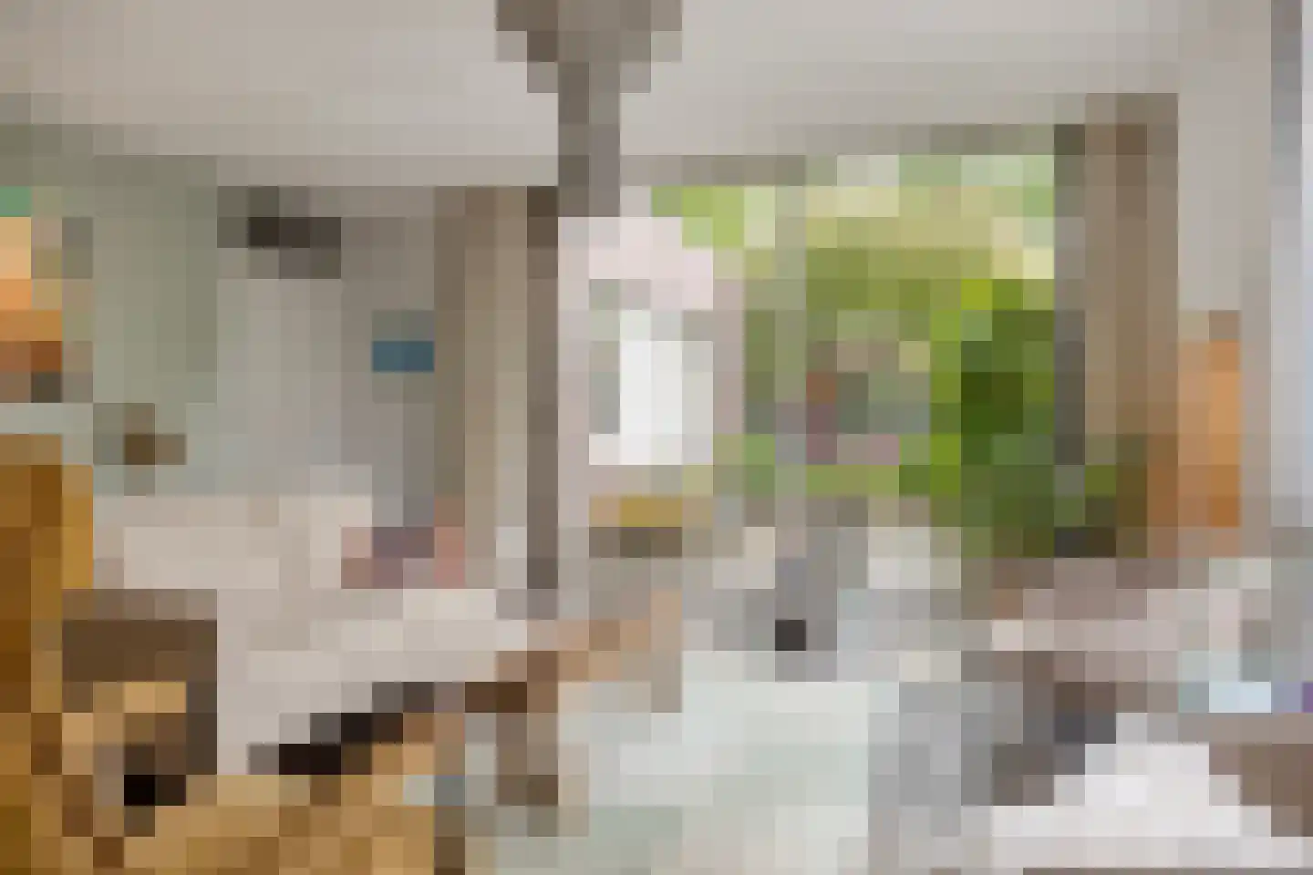 Ezelvense Akkers 35 Tilburg thumbnail 8