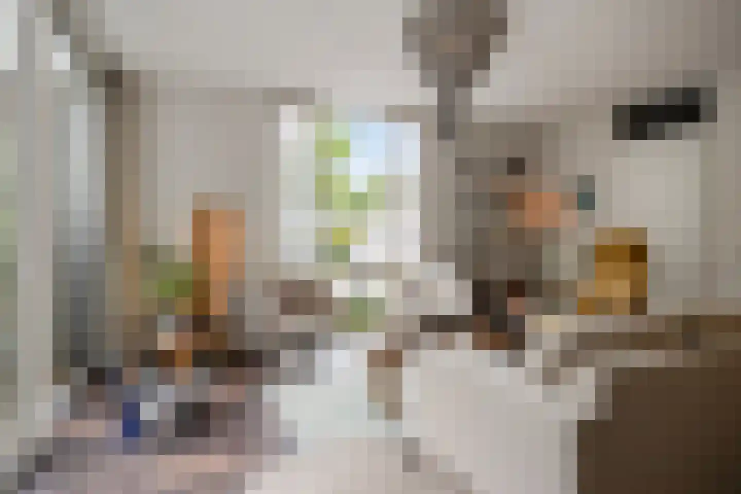 Ezelvense Akkers 35 Tilburg thumbnail 9