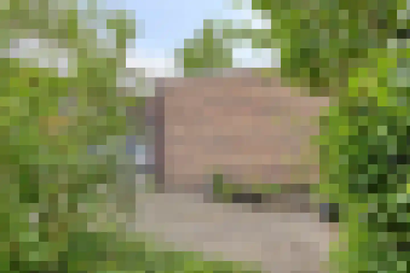 Ezelvense Akkers 44 Tilburg thumbnail 29
