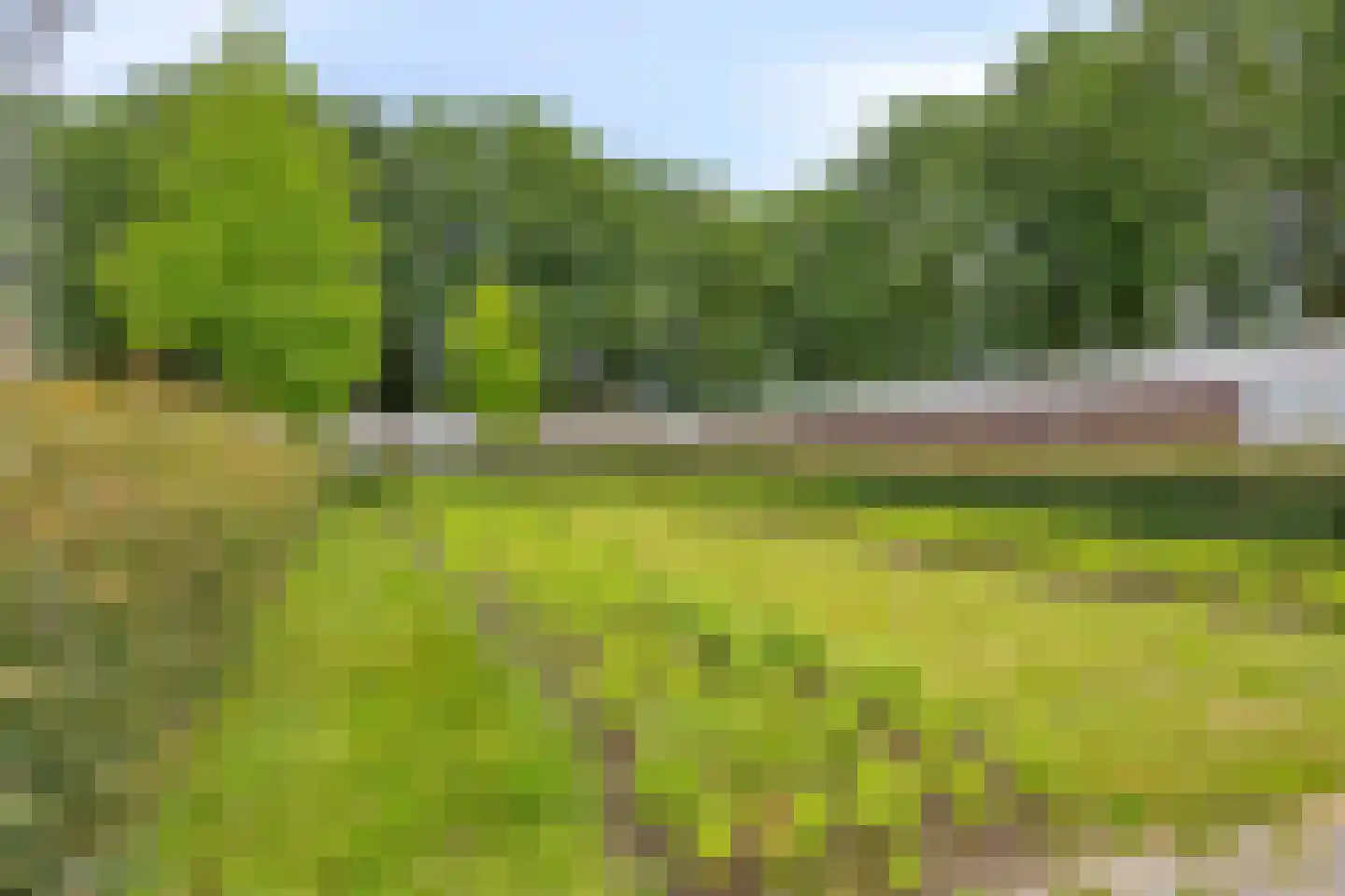 Ezelvense Akkers 44 Tilburg thumbnail 34