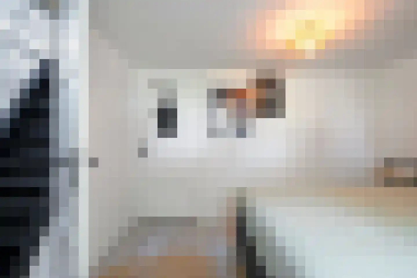 Ezingerweg 21 Meppel thumbnail 12