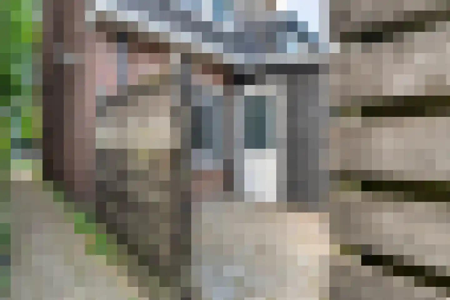 Ezingerweg 21 Meppel thumbnail 21