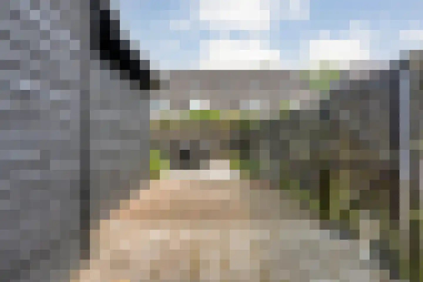 Ezingerweg 21 Meppel thumbnail 23