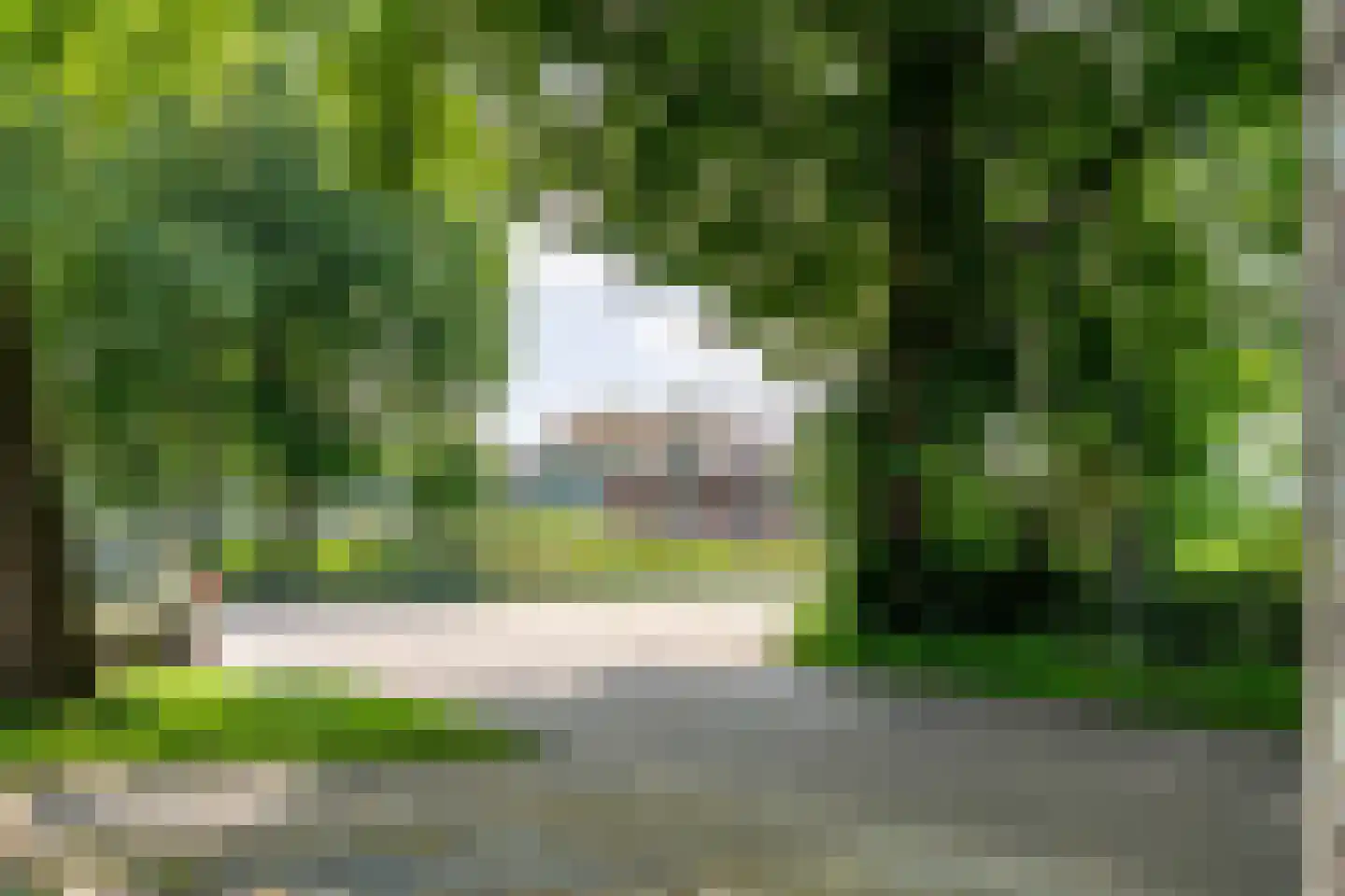 Ezingerweg 21 Meppel thumbnail 30