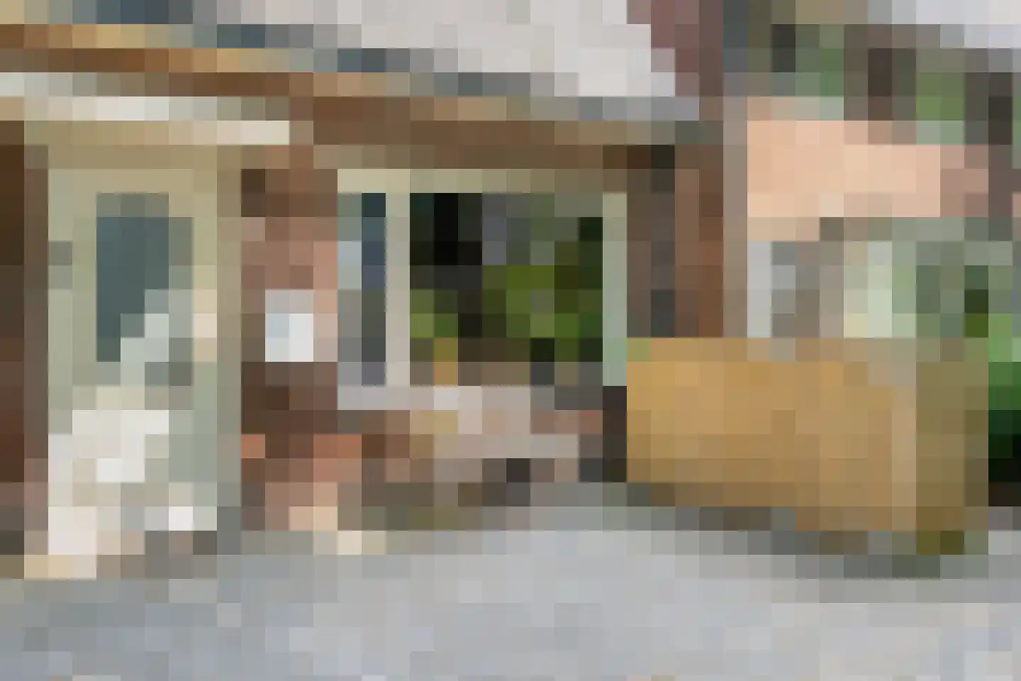 Ezingerweg 21 Meppel thumbnail 32