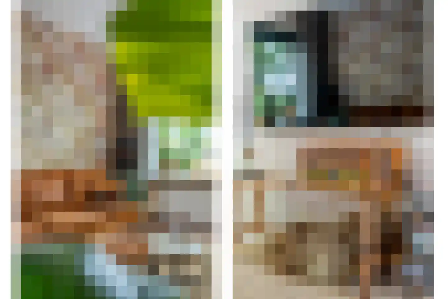 Ezingerweg 21 Meppel thumbnail 4