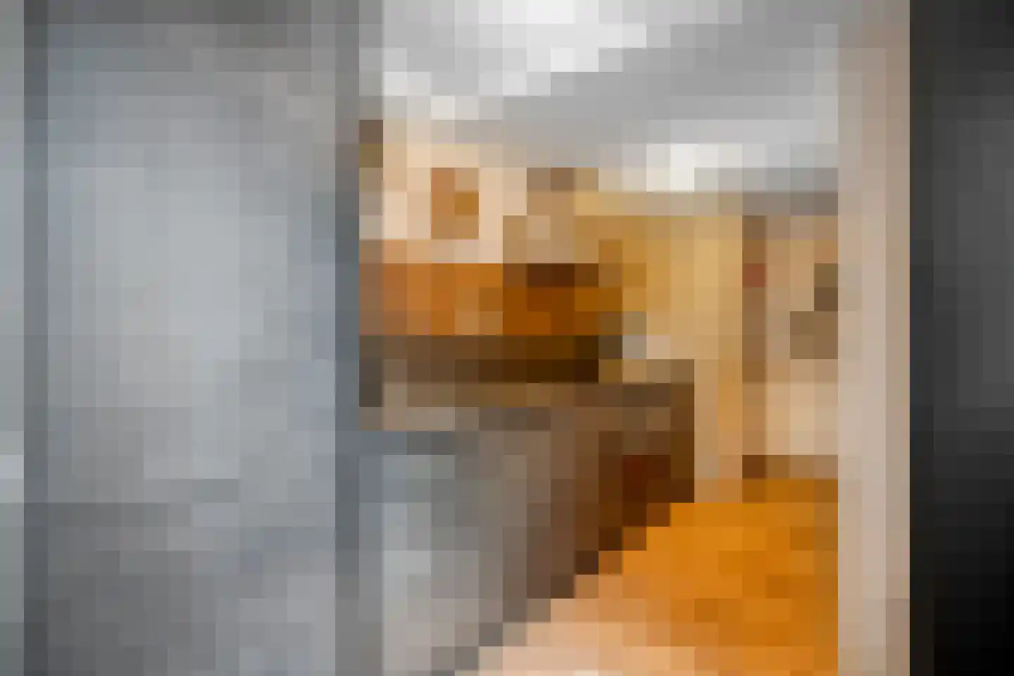 Ezingerweg 21 Meppel thumbnail 8