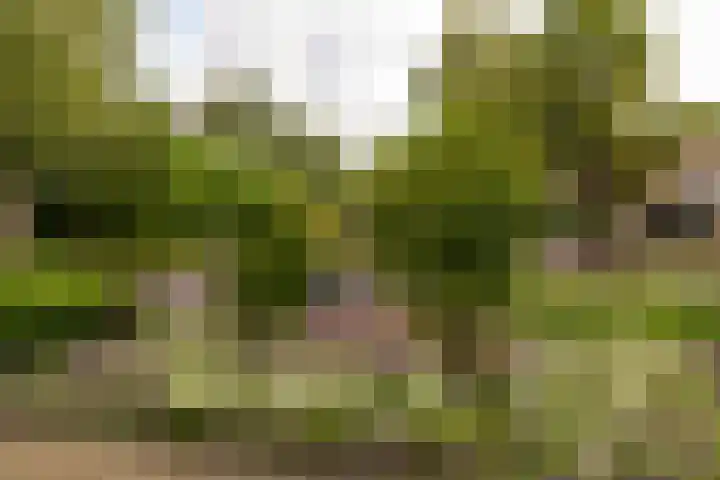 F.A. Molijnlaan 1 0006 Nunspeet thumbnail 31
