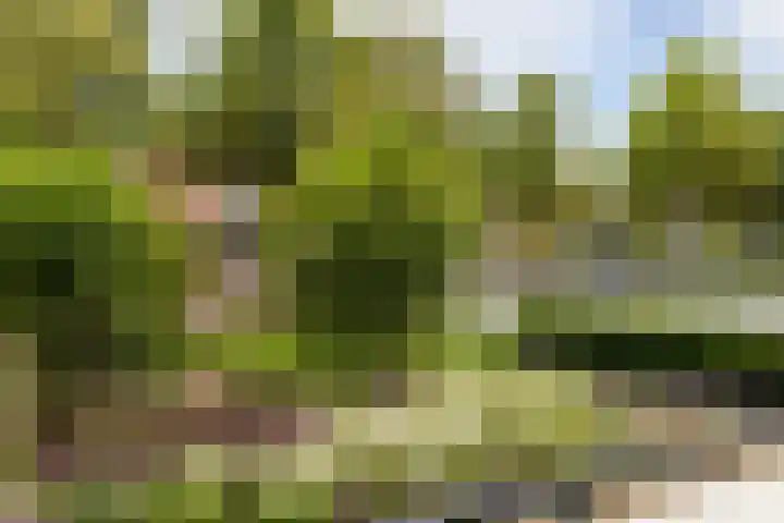 F.A. Molijnlaan 1 0006 Nunspeet thumbnail 4