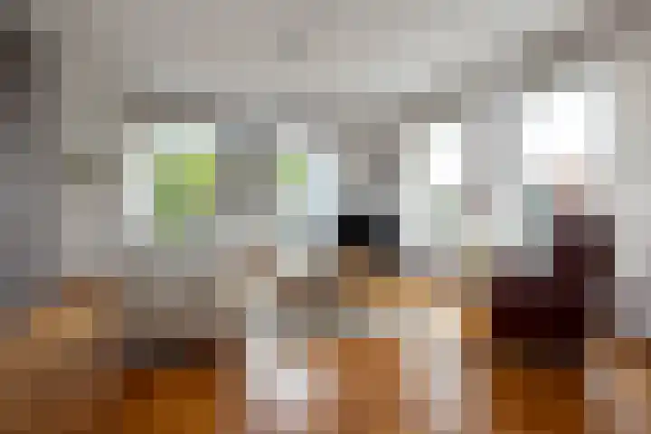 F.A. Molijnlaan 1 0006 Nunspeet thumbnail 7