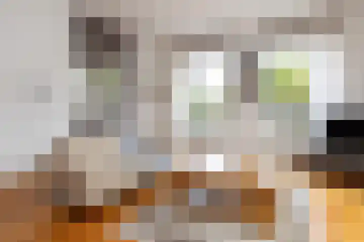 F.A. Molijnlaan 1 0006 Nunspeet thumbnail 8