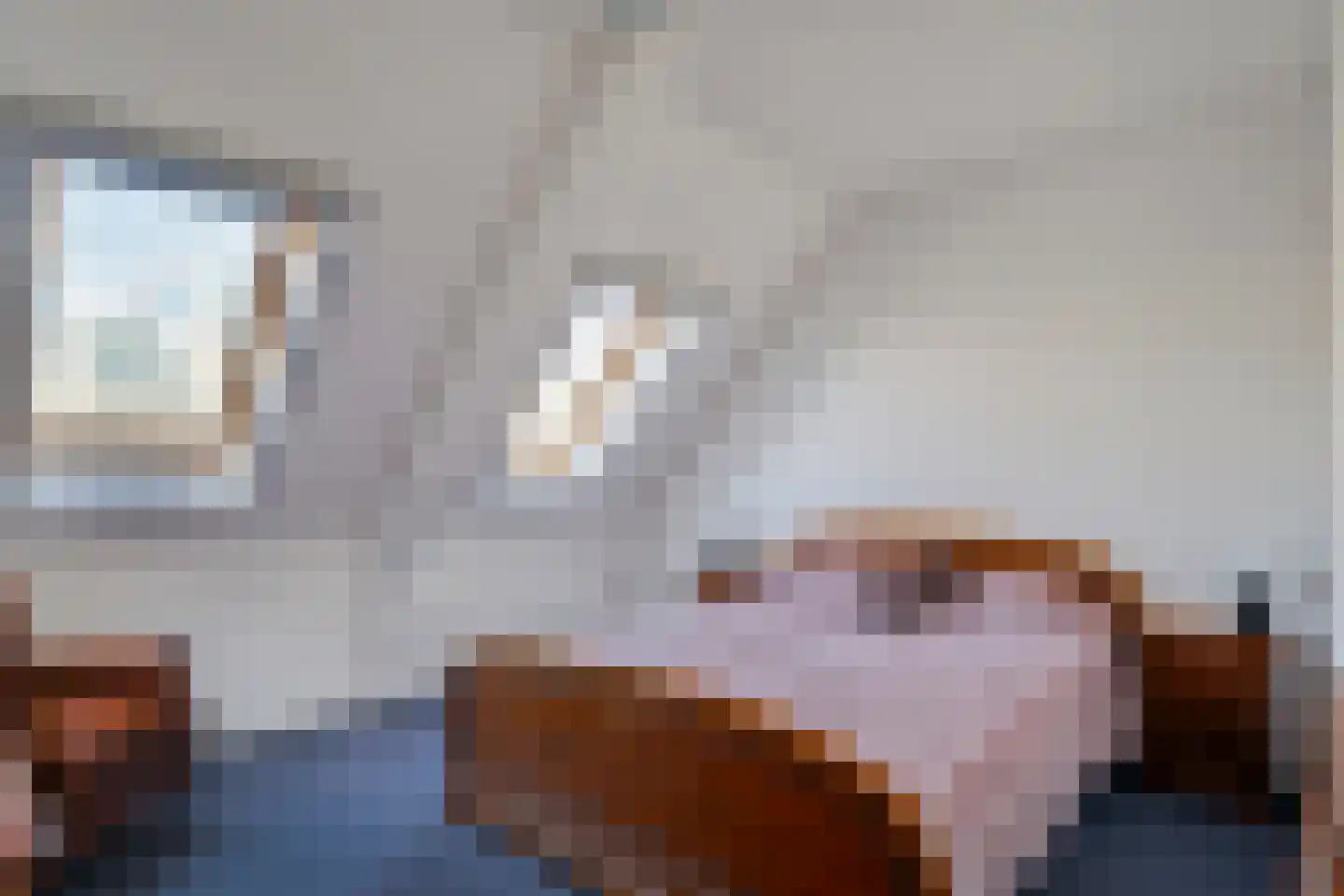 F.A. Molijnlaan 1 0019 Nunspeet thumbnail 10