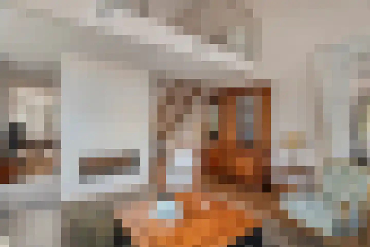 F.A. Molijnlaan 1 0019 Nunspeet thumbnail 35
