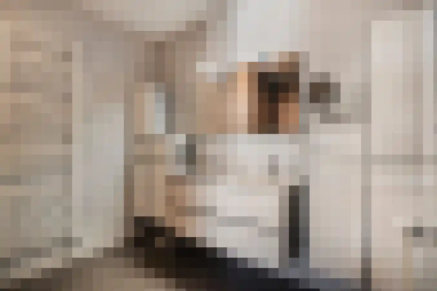 F.A. Molijnlaan 1 0019 Nunspeet thumbnail 50