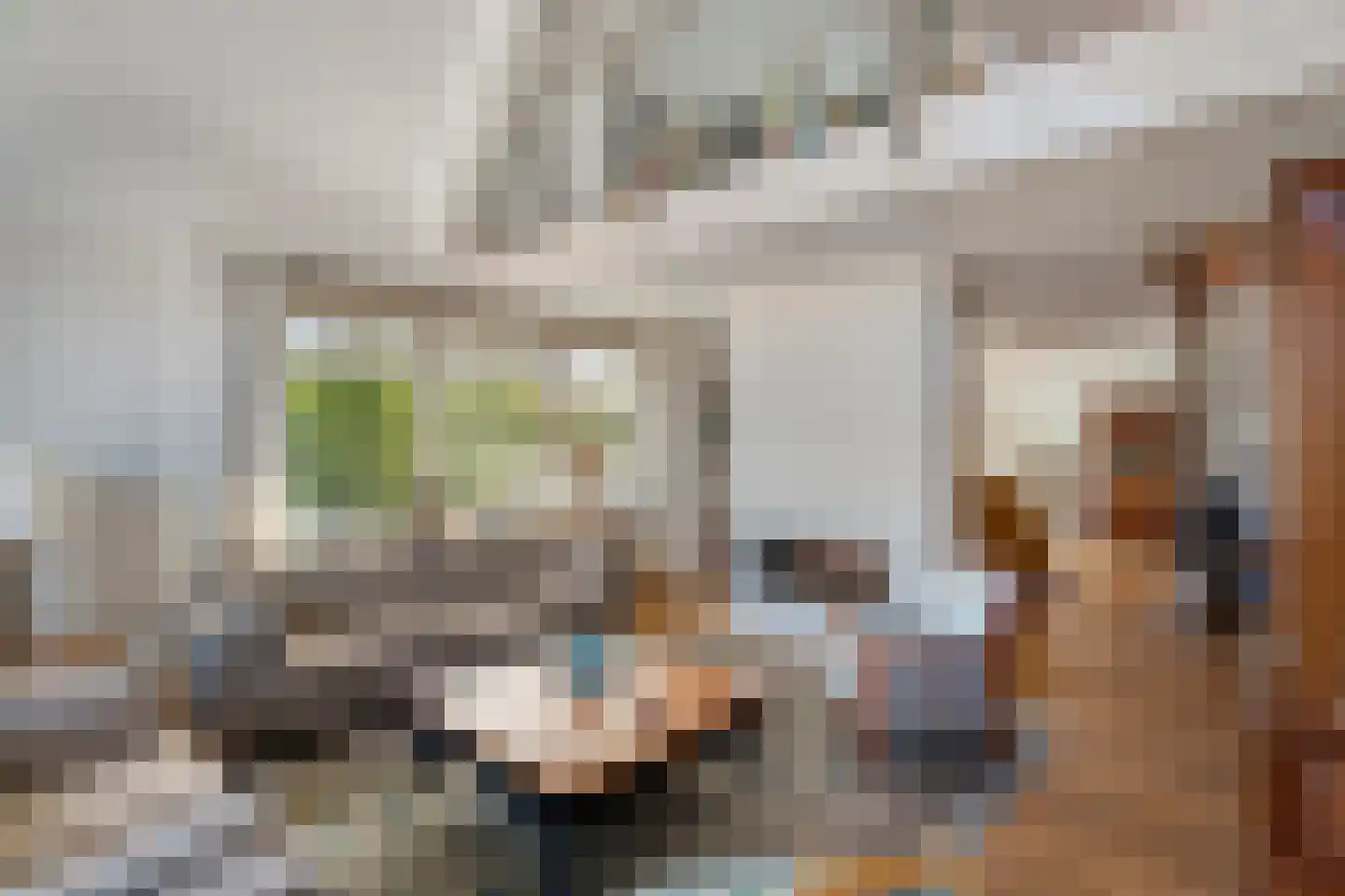 F.A. Molijnlaan 1 0019 Nunspeet thumbnail 6