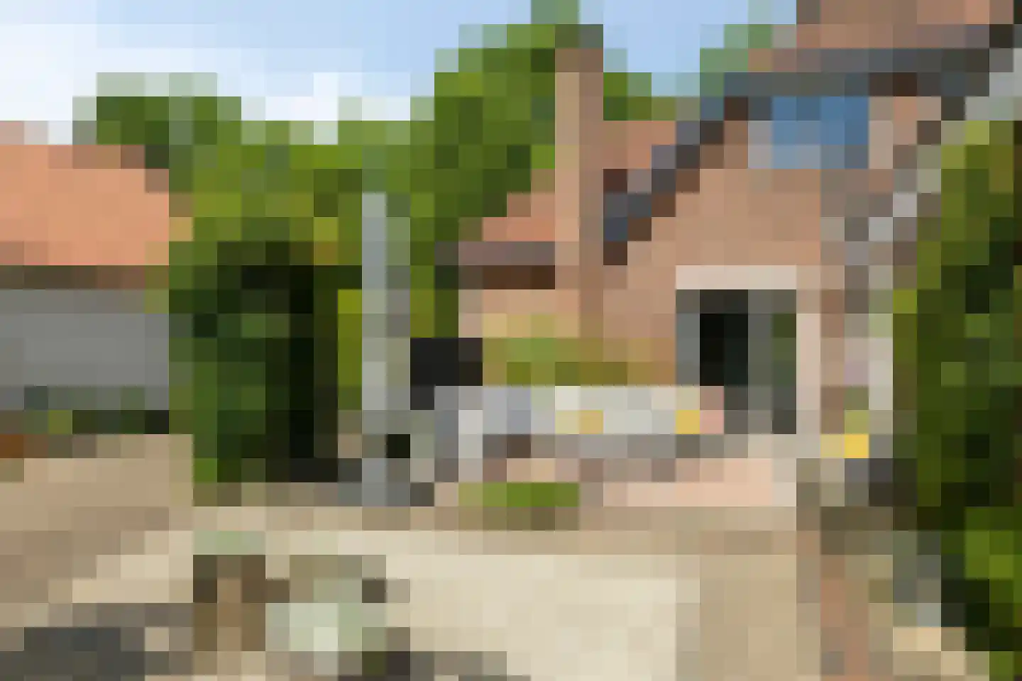F.A. Molijnlaan 36 Nunspeet thumbnail 12