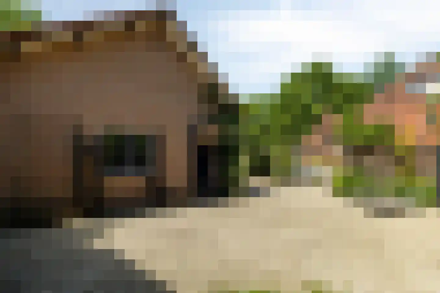F.A. Molijnlaan 36 Nunspeet thumbnail 15