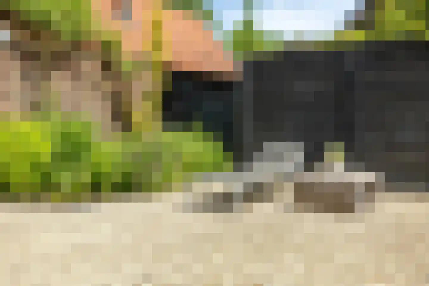 F.A. Molijnlaan 36 Nunspeet thumbnail 19