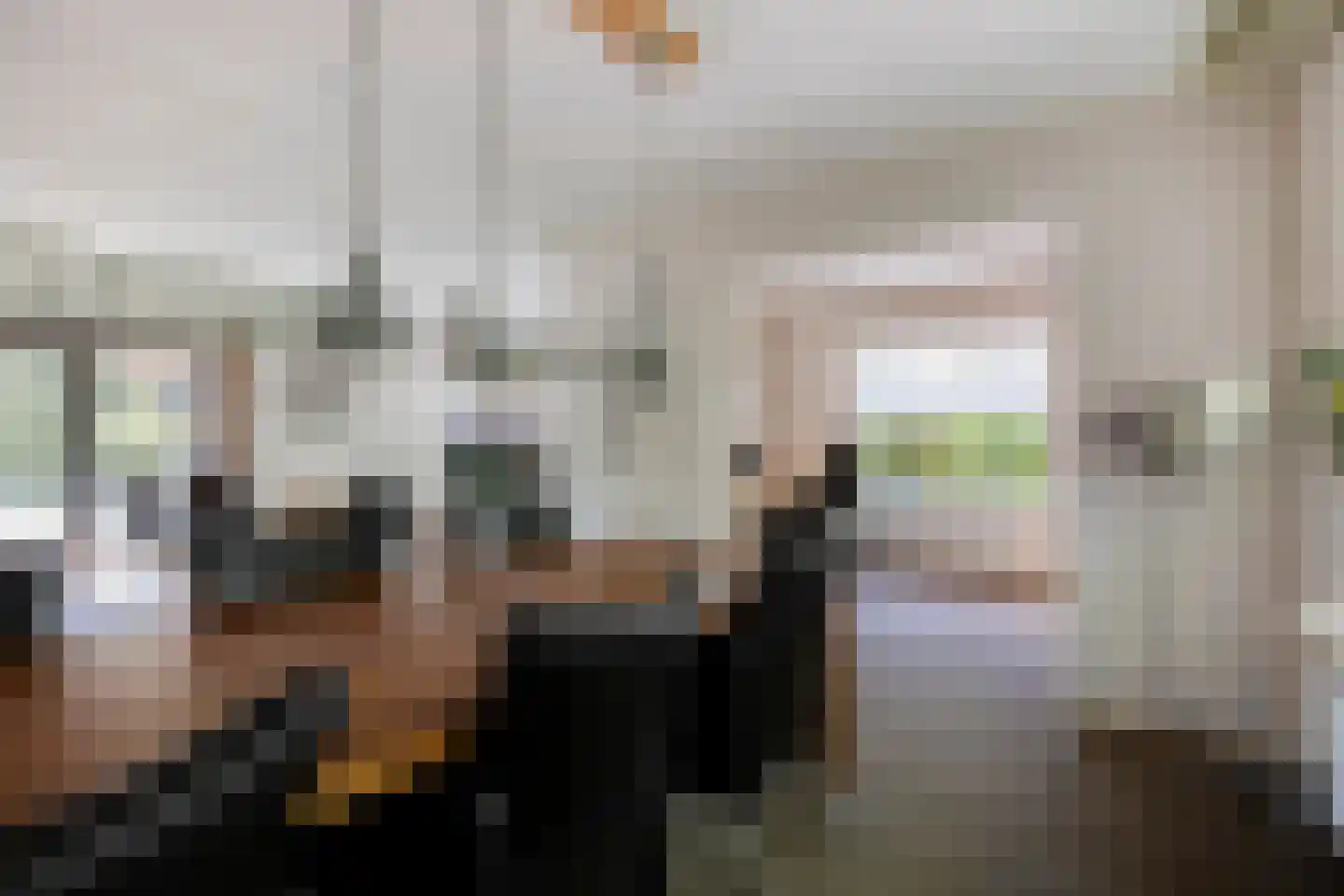 F.A. Molijnlaan 36 Nunspeet thumbnail 28