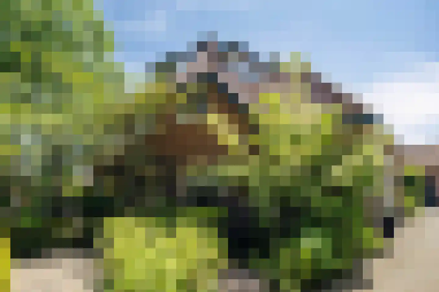F.A. Molijnlaan 36 Nunspeet thumbnail 5