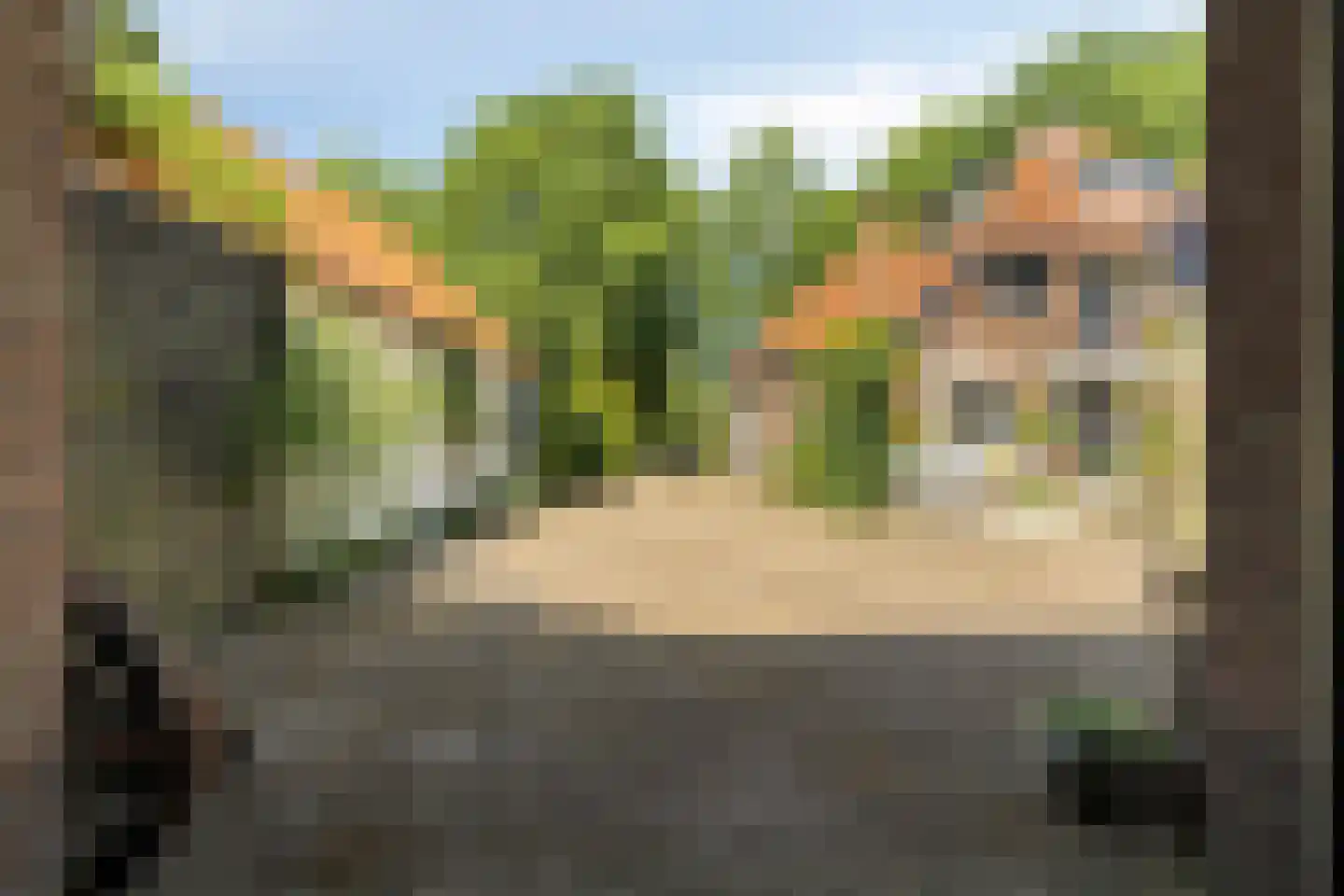 F.A. Molijnlaan 36 Nunspeet thumbnail 57