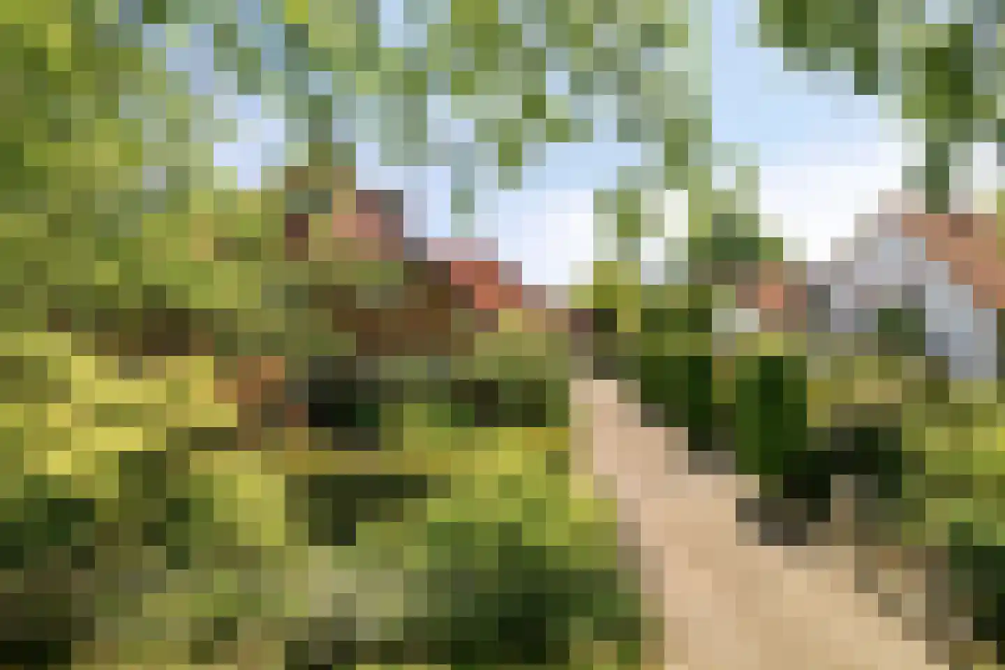 F.A. Molijnlaan 36 Nunspeet thumbnail 58