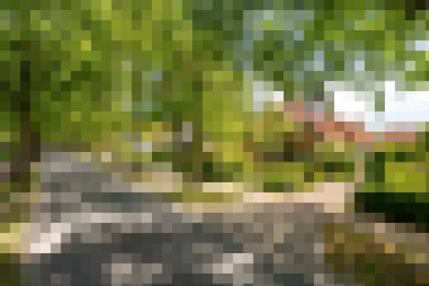 F.A. Molijnlaan 36 Nunspeet thumbnail 59