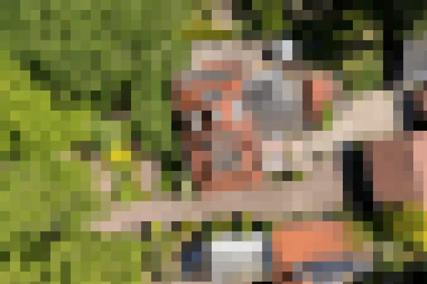 F.A. Molijnlaan 36 Nunspeet thumbnail 8
