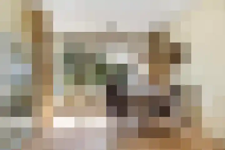 F.A. Molijnlaan 44 Nunspeet thumbnail 11