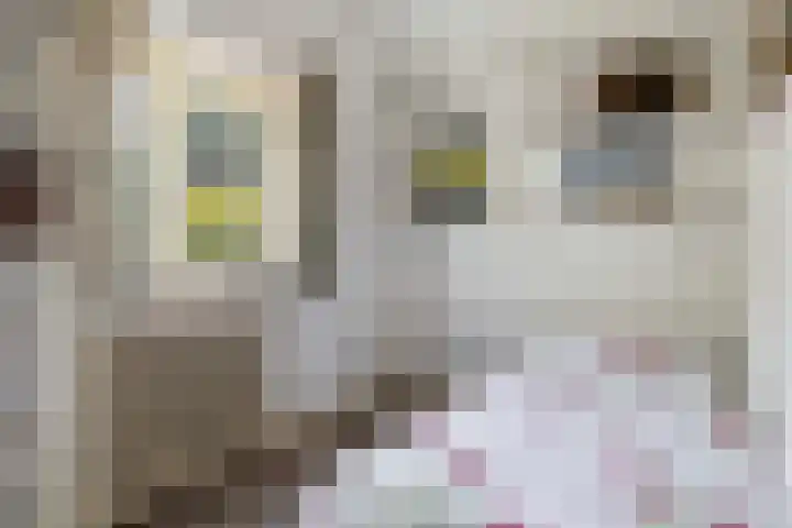 F.A. Molijnlaan 44 Nunspeet thumbnail 18