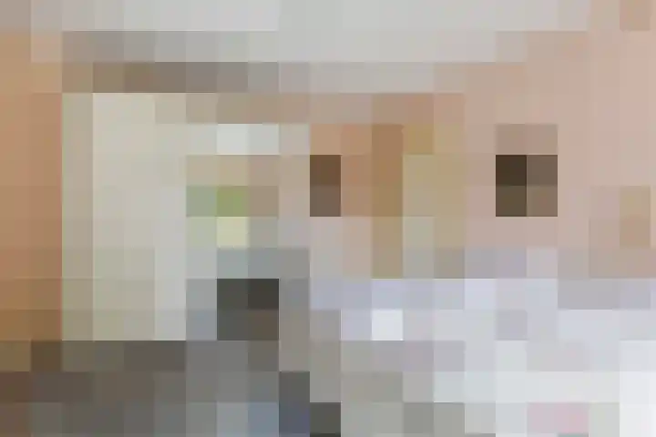 F.A. Molijnlaan 44 Nunspeet thumbnail 21