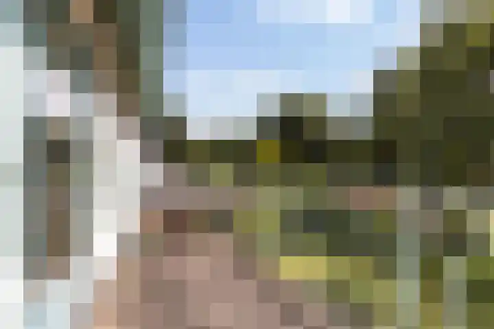 F.A. Molijnlaan 44 Nunspeet thumbnail 24