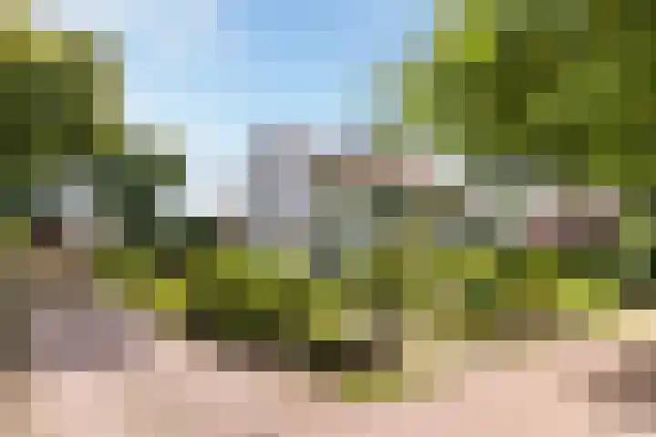 F.A. Molijnlaan 44 Nunspeet thumbnail 25