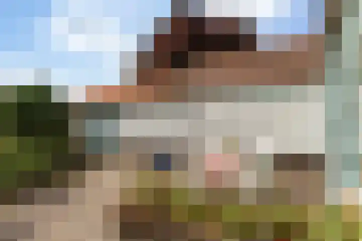F.A. Molijnlaan 44 Nunspeet thumbnail 29
