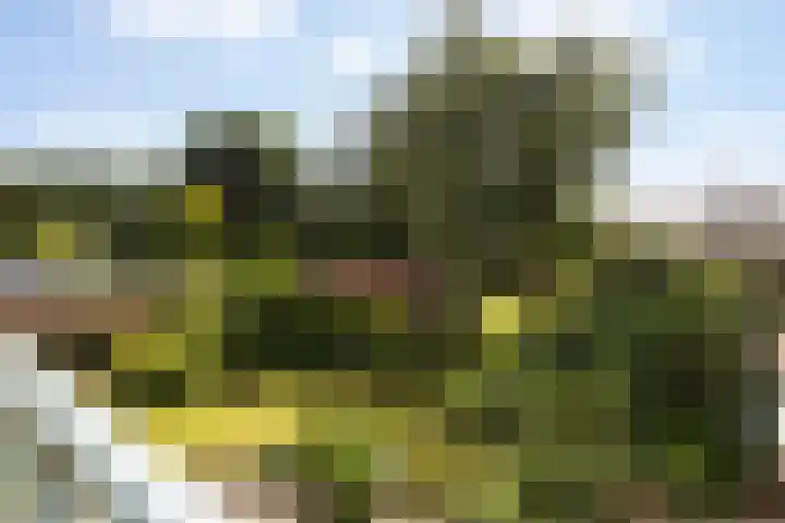 F.A. Molijnlaan 44 Nunspeet thumbnail 30